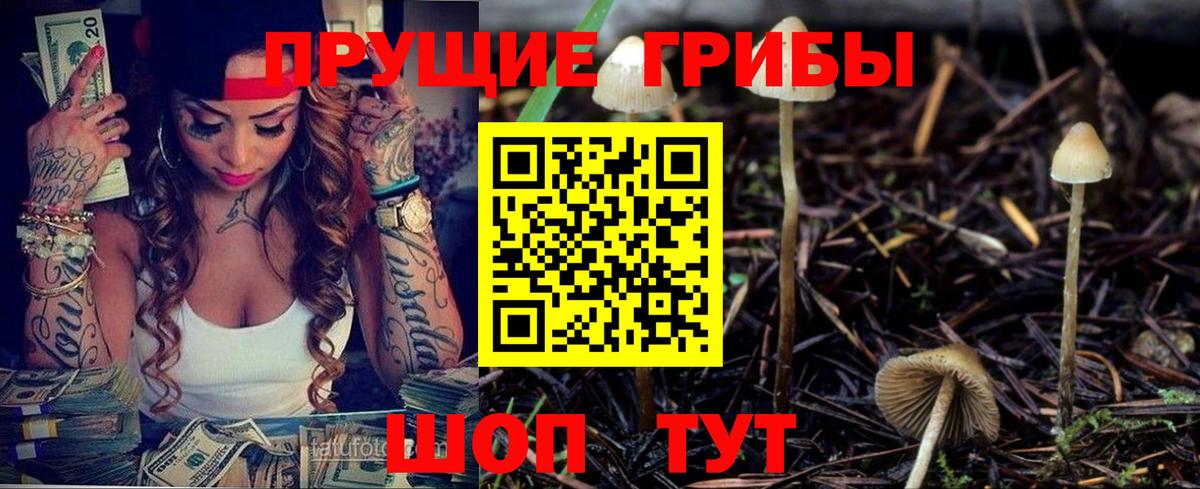 Пушкино  Псилоцибиновые грибы ЛСД  что такое наркотик  Вход с VPN 